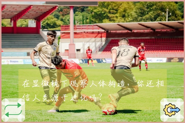 在显微镜下观察人体构造，你还相信人类源于进化吗？