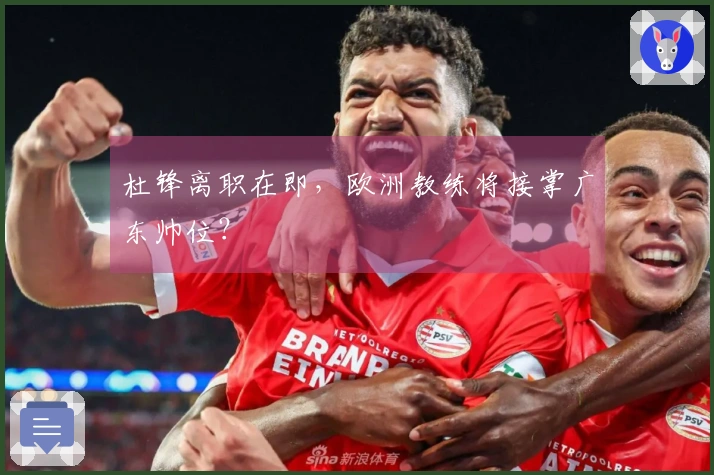 杜锋离职在即，欧洲教练将接掌广东帅位？