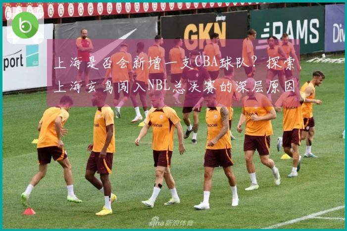 上海是否会新增一支CBA球队？探索上海玄鸟闯入NBL总决赛的深层原因