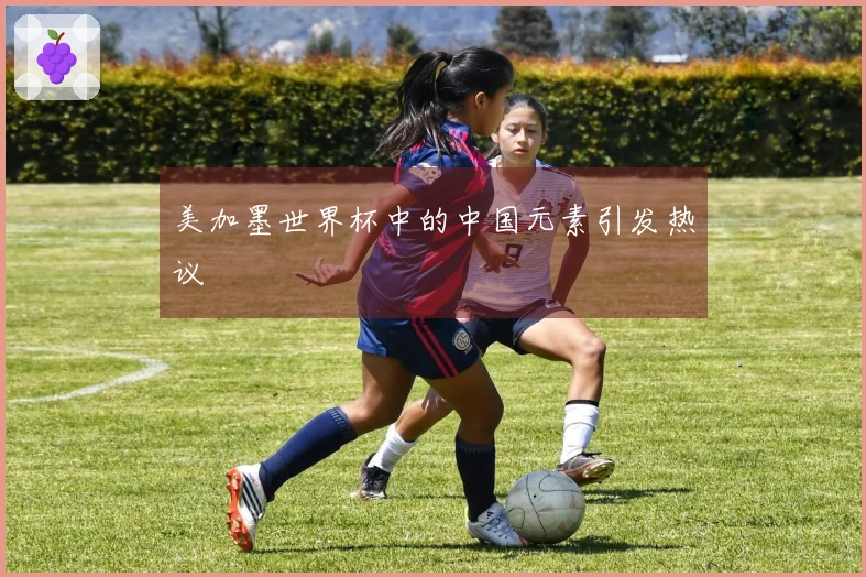 美加墨世界杯中的中国元素引发热议