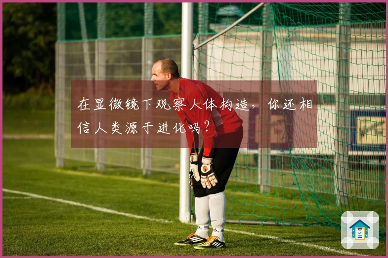 在显微镜下观察人体构造，你还相信人类源于进化吗？